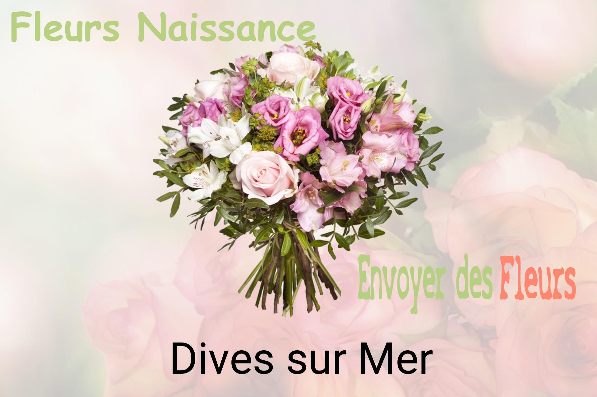 Bouquet de fleurs de naissance livré à Dives-sur-Mer